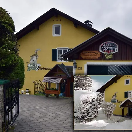 Haus Steinbock Apartament