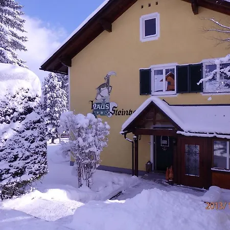 Apartment Haus Steinbock *