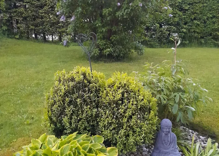 Appartement Haus Steinbock *