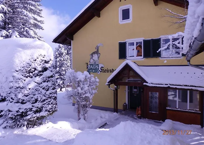 Apartman Haus Steinbock *