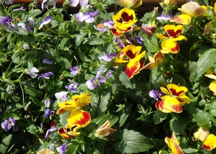 Haus Steinbock Tauplitz